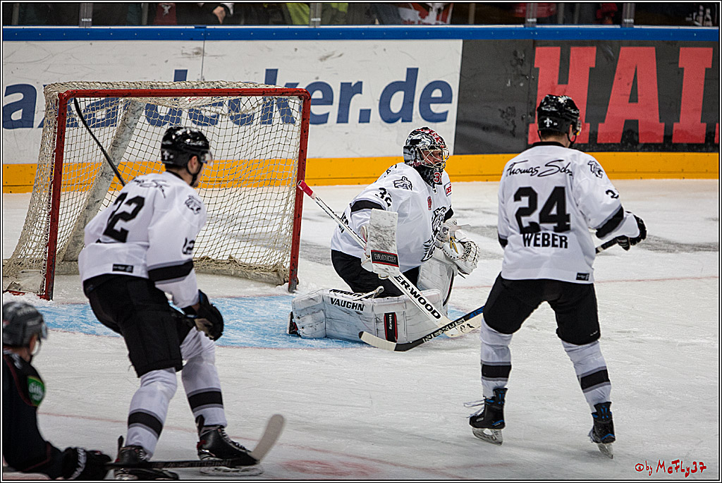 DEL, Koelner Haie - Nuernberg Ice Tiger, 24.01.2017